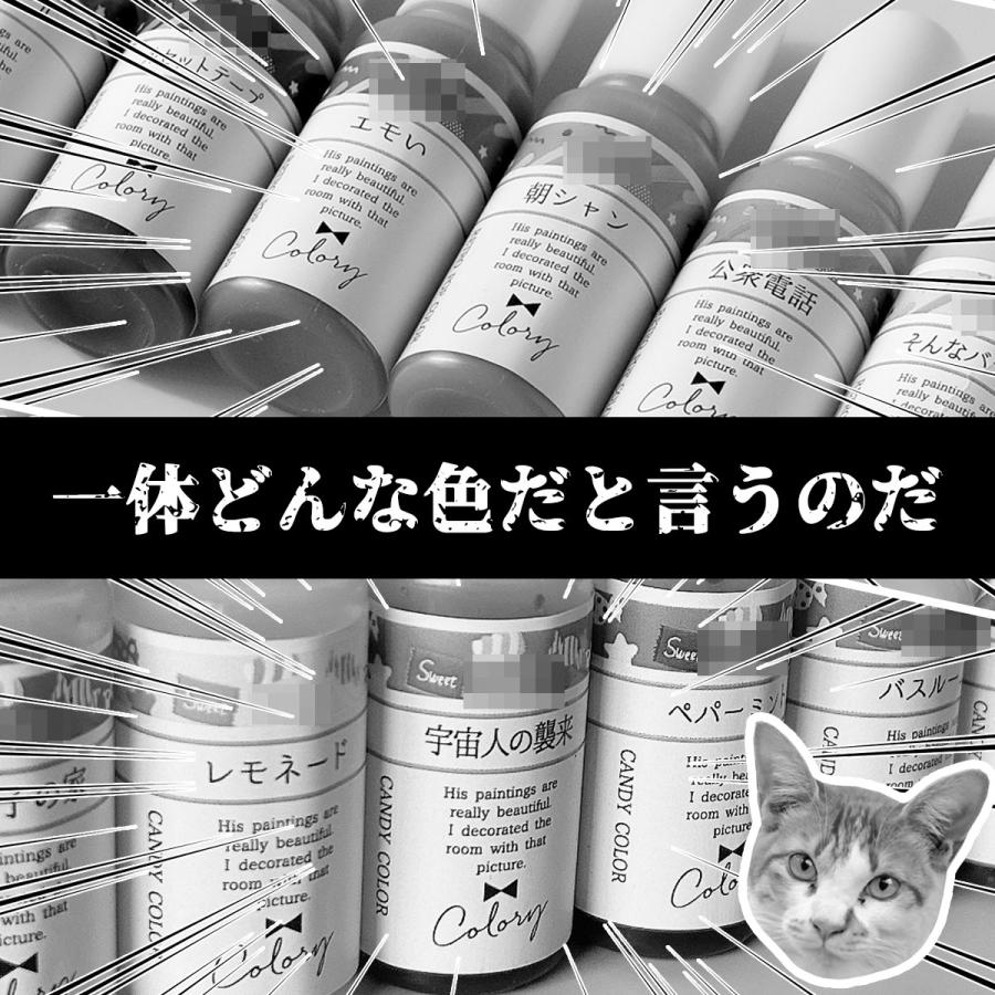 隠れ工房GreenOcean △☆【送料無料】予約販売 2026謎福袋 送料無料