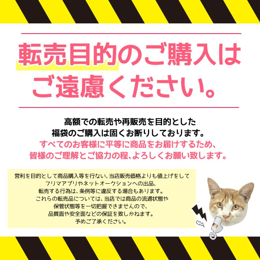 隠れ工房GreenOcean △☆【送料無料】予約販売 2026謎福袋 送料無料
