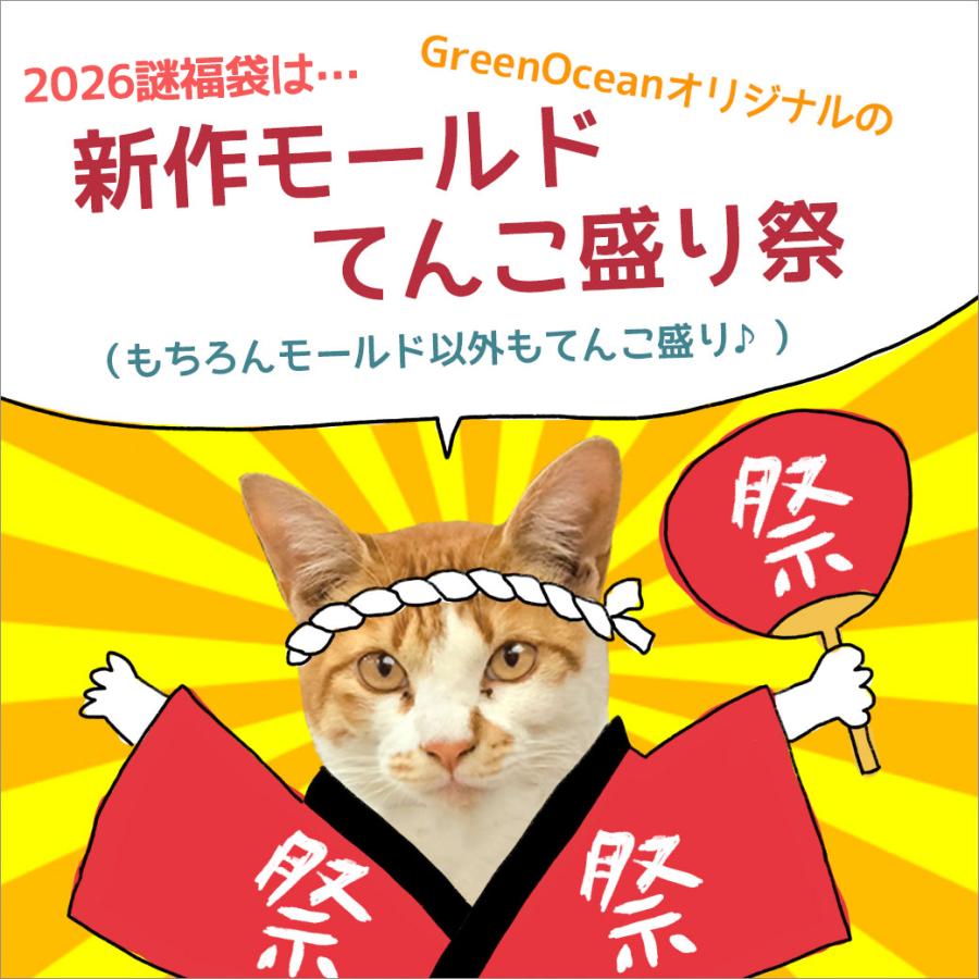 隠れ工房GreenOcean △☆【送料無料】予約販売 2026謎福袋 送料無料