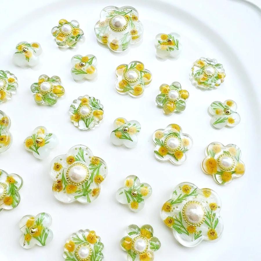 隠れ工房GreenOcean 押し花 国産 ミモザ 花と葉 小分けセット ドライ