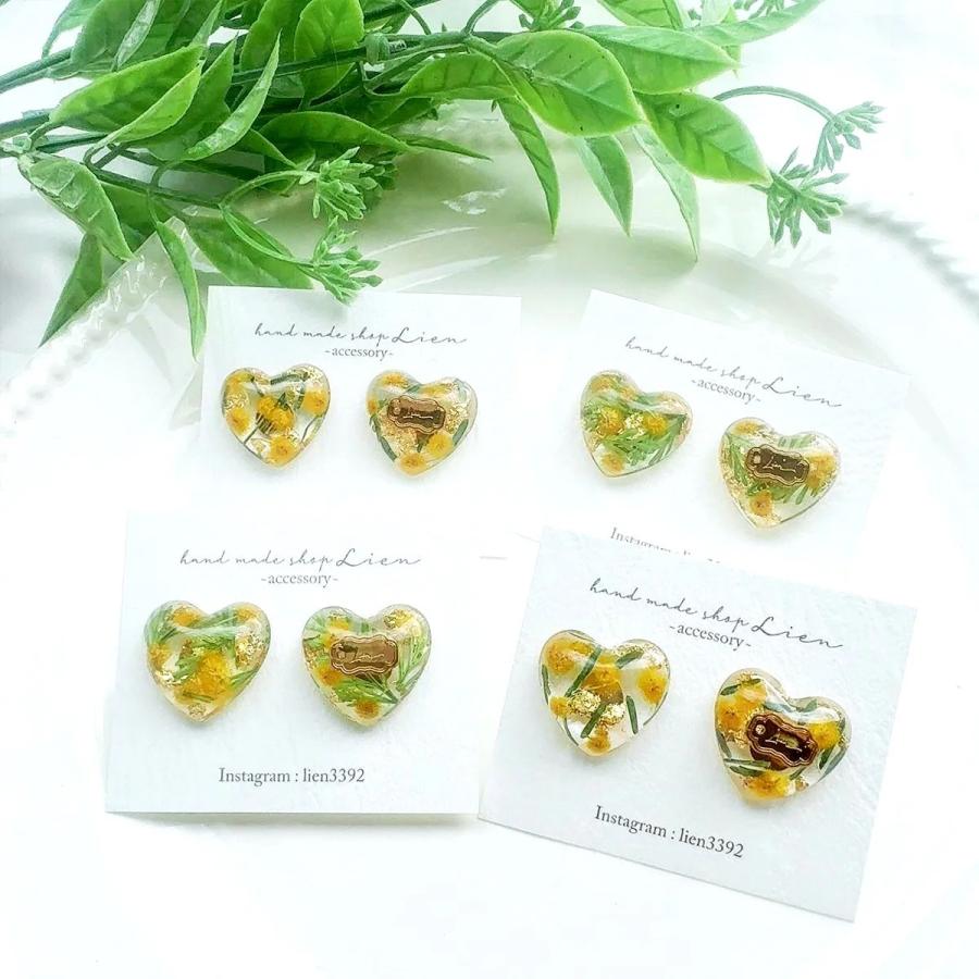 隠れ工房GreenOcean 押し花 国産 ミモザ 花と葉 小分けセット ドライ