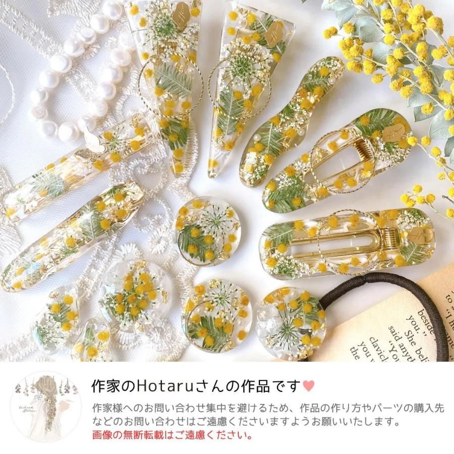 隠れ工房GreenOcean ドライフラワー 国産 ミモザ 花と葉 小分けセット