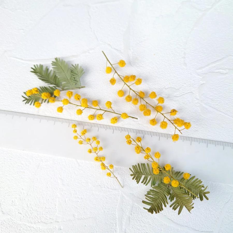 隠れ工房GreenOcean ドライフラワー 国産 ミモザ 花と葉 小分けセット