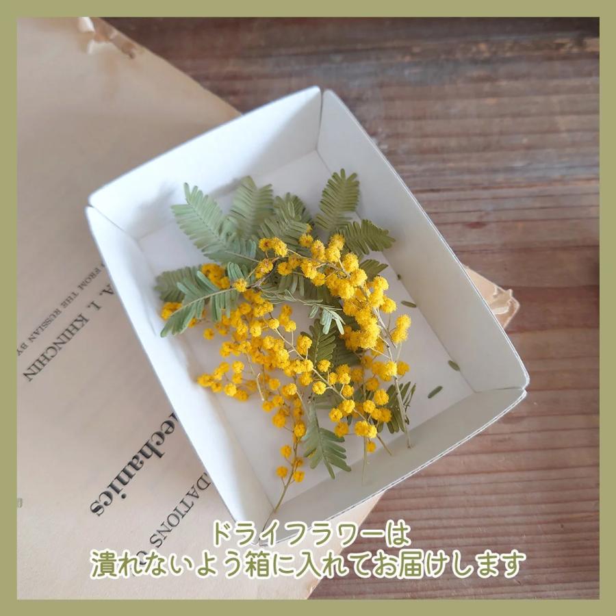 隠れ工房GreenOcean ドライフラワー 国産 ミモザ 花と葉 小分けセット