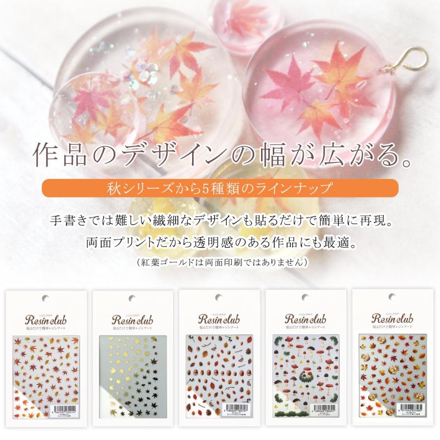 シール レジンクラブ レジン封入シール 両面タイプ 秋 紅葉 落ち葉