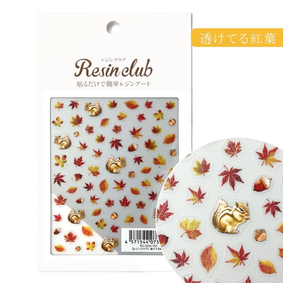 シール レジンクラブ レジン封入シール 両面タイプ 秋 紅葉 落ち葉
