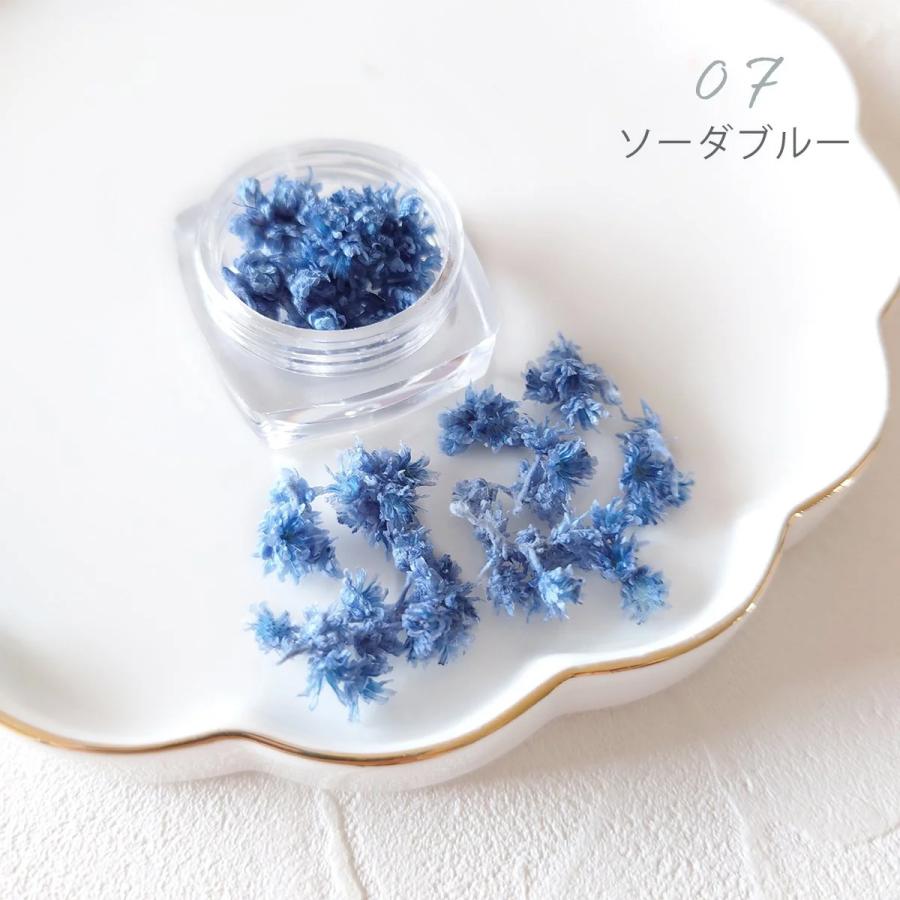 ドライフラワー クリスパム 日本製 封入素材 花材 本物 レジン封入