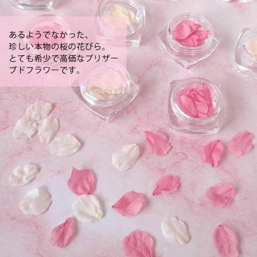 ドライフラワー さくらの花びら 10枚 花弁 桜 サクラ プリザーブド