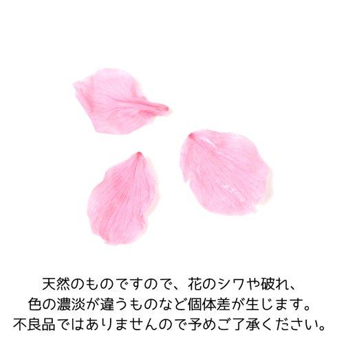 ドライフラワー さくらの花びら 10枚 花弁 桜 サクラ プリザーブド