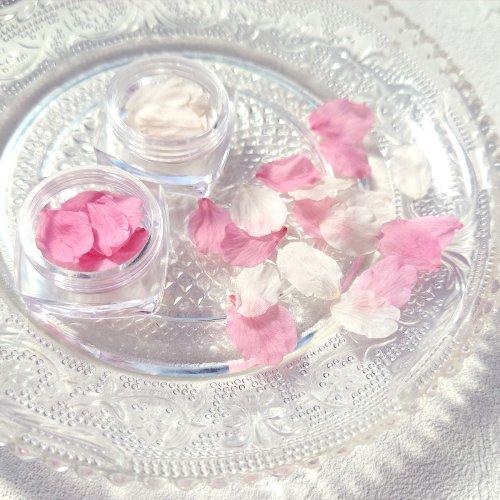 ドライフラワー さくらの花びら 10枚 花弁 桜 サクラ プリザーブド