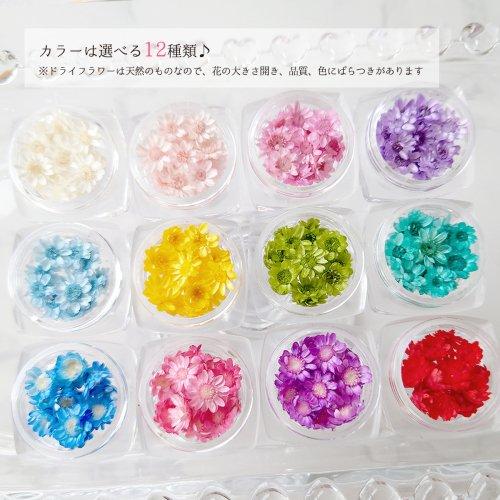 ドライフラワー スターフラワー 16〜18輪 単色 小さめサイズMIX