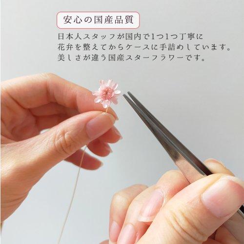 ドライフラワー スターフラワー 16〜18輪 単色 小さめサイズMIX 日本製