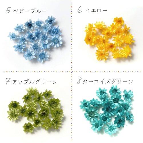 ドライフラワー スターフラワー 16〜18輪 単色 小さめサイズMIX 日本製