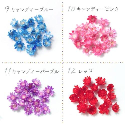 ドライフラワー スターフラワー 16〜18輪 単色 小さめサイズMIX 日本製