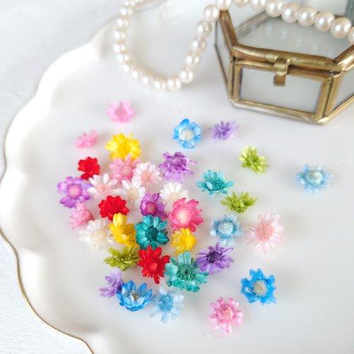 ドライフラワー スターフラワー 16〜18輪 単色 小さめサイズMIX 日本製