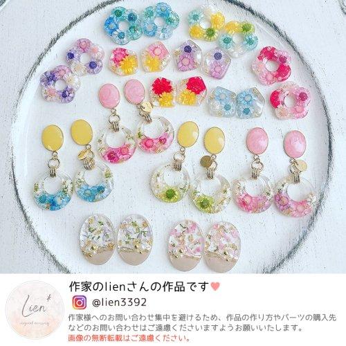 ドライフラワー スターフラワー 9輪 大きめサイズMIX 単色 日本製 国産