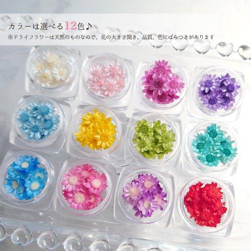 ドライフラワー スターフラワー 9輪 大きめサイズMIX 単色 日本