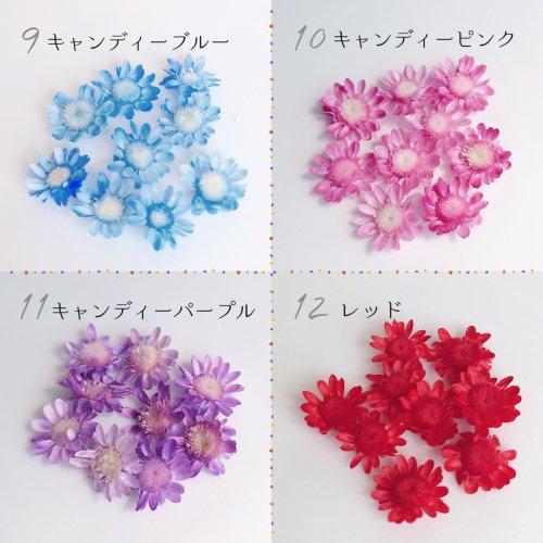 ドライフラワー スターフラワー 9輪 大きめサイズMIX 単色 日本製 国産