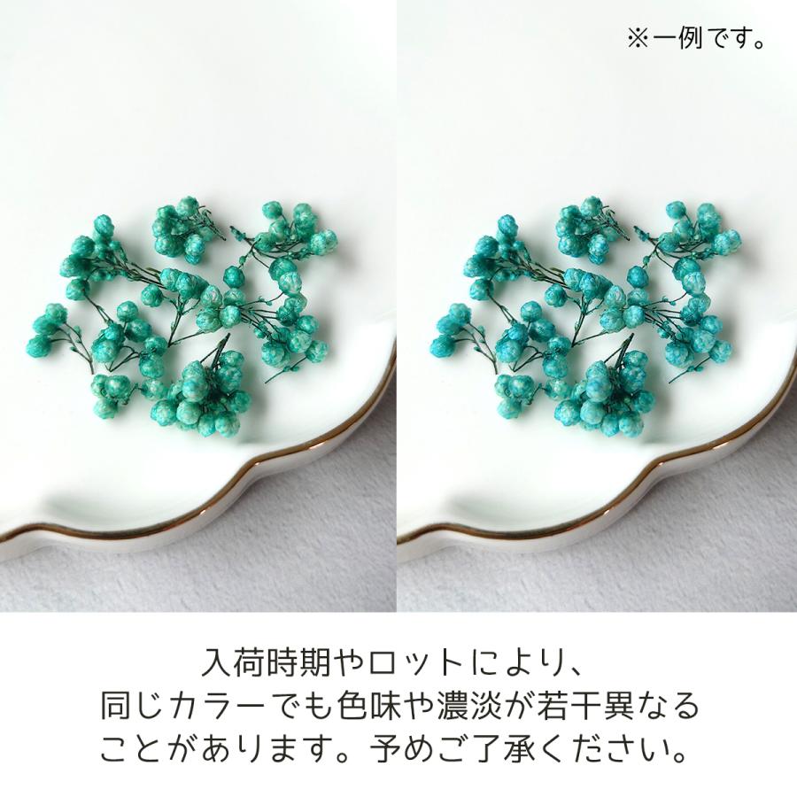 ドライフラワー ライスフラワーA 日本製 ハーバリウム ハー