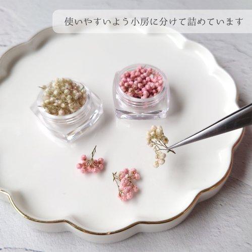 ドライフラワー ライスフラワーA 日本製 ハーバリウム ハーバリューム