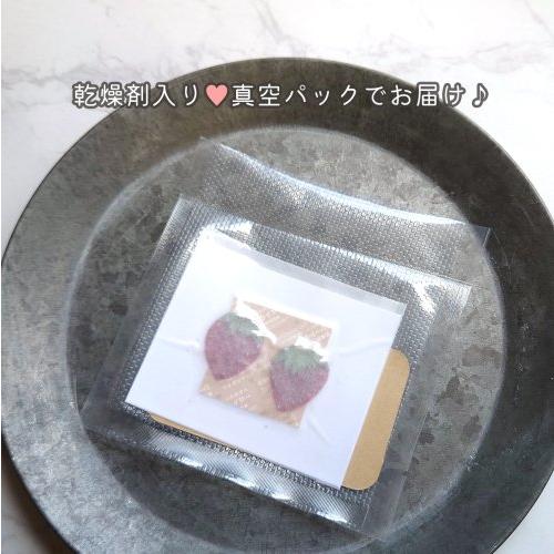 押し花 いちご 国産品 2枚セット 押しフルーツ イチゴ 苺 ドライ 押し花 いちご 国産品 2枚セット 押しフルーツ イチゴ 苺 ドライ