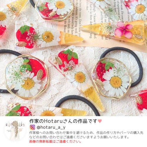 押し花 いちご 国産品 2枚セット 押しフルーツ イチゴ 苺 ドライ レジン セット ハーバリウム キャンドル スマホケース アクセサリー 手作り 本物 真空パック 押し花 いちご 国産品 2枚セット 押しフルーツ イチゴ 苺 ドライ レジン セット ハーバリウム キャンドル スマホケース アクセサリー 手作り 本物 真空パック