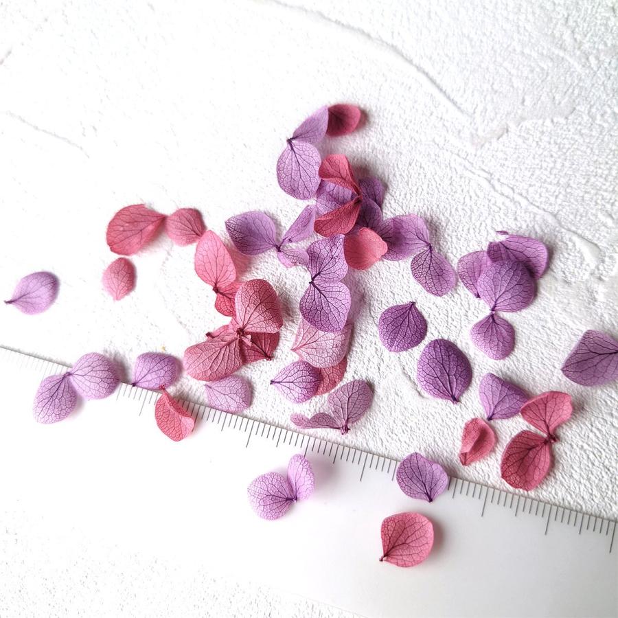 隠れ工房GreenOcean 訳ありアウトレット ドライフラワー アジサイ