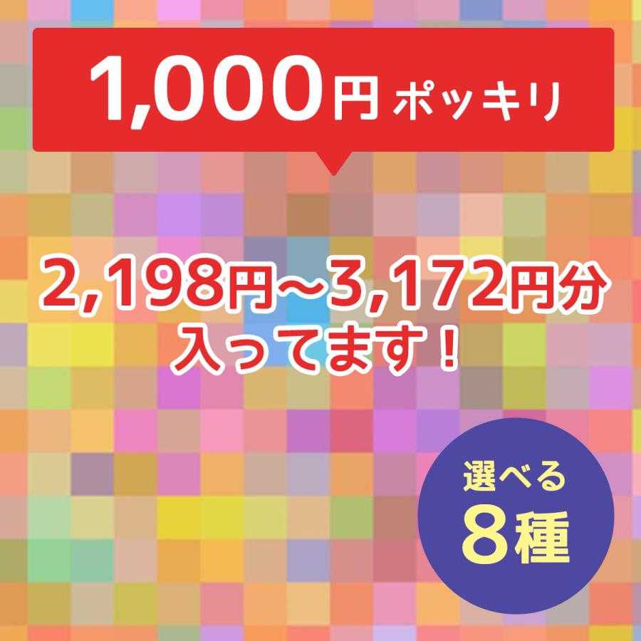 福袋 1000円ポッキリ♪選べるお得なセット お買い得 詰め合わせ