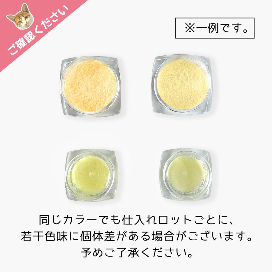 封入 魔法のやべぇ粉カラー 超話題の偏光微細ラメパウダー たっぷりBIG