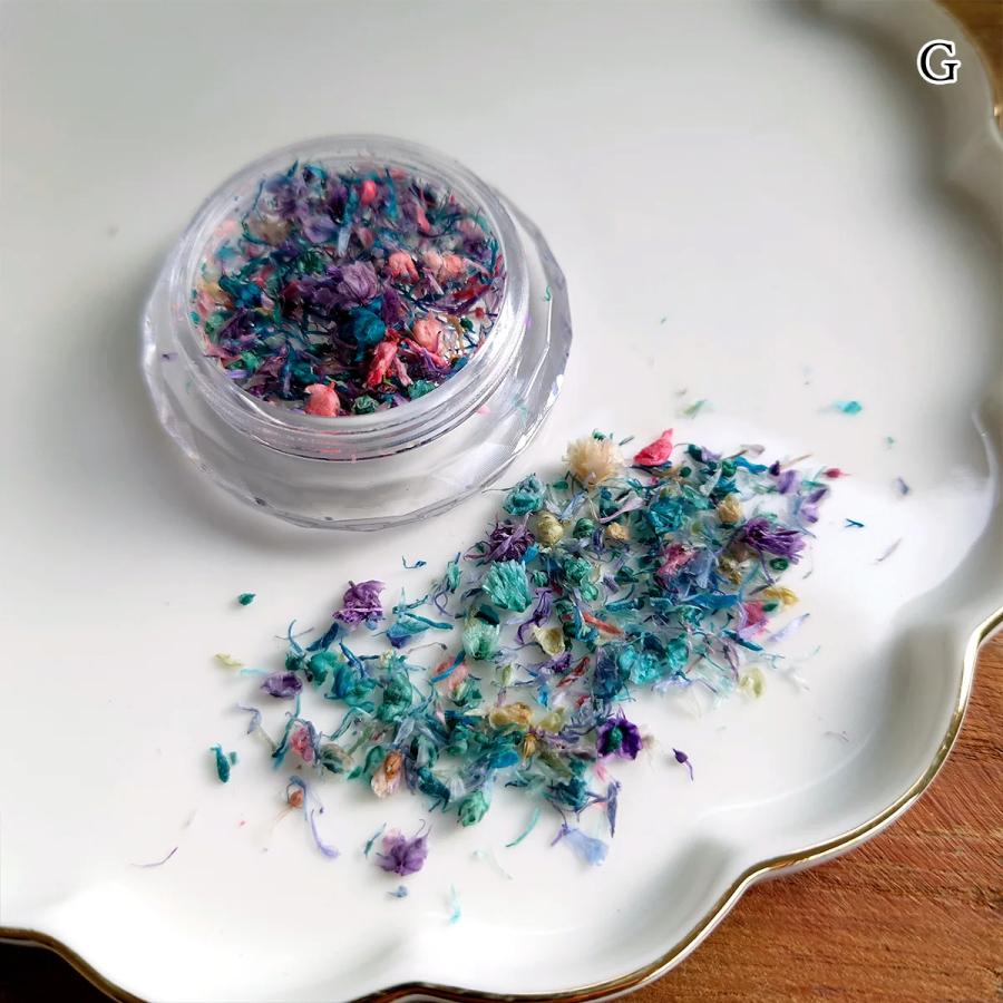 ドライフラワー 花びらのカケラMIX レジン封入 レジン用花材 小花