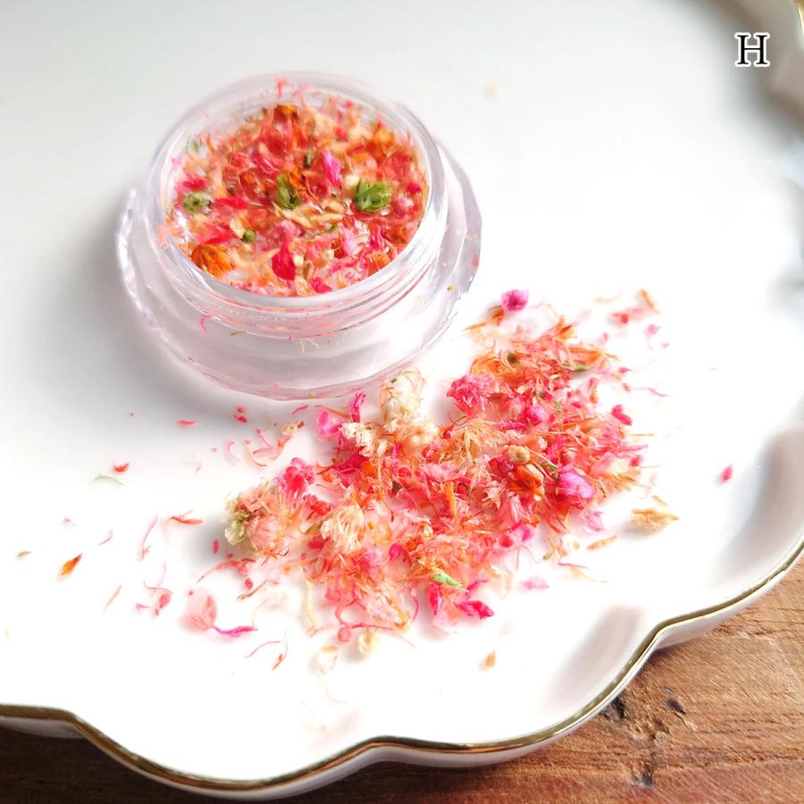 ドライフラワー 花びらのカケラMIX レジン封入 レジン用花材 小花