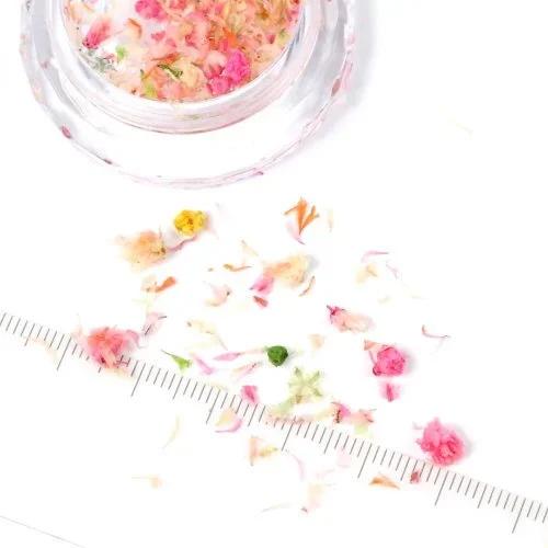 ドライフラワー 花びらのカケラMIX レジン封入 レジン用花材 小花