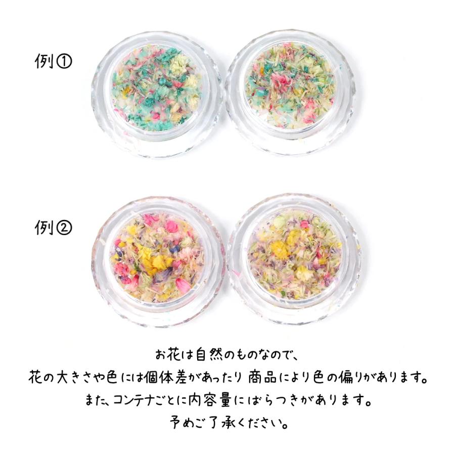 ドライフラワー 花びらのカケラMIX レジン封入 レジン用花材 小花 小さい ミックス 本物 押し花 欠片 小分け 少量 細かい ケース入り ネイル 手芸 選べる11種｜greenocean｜02