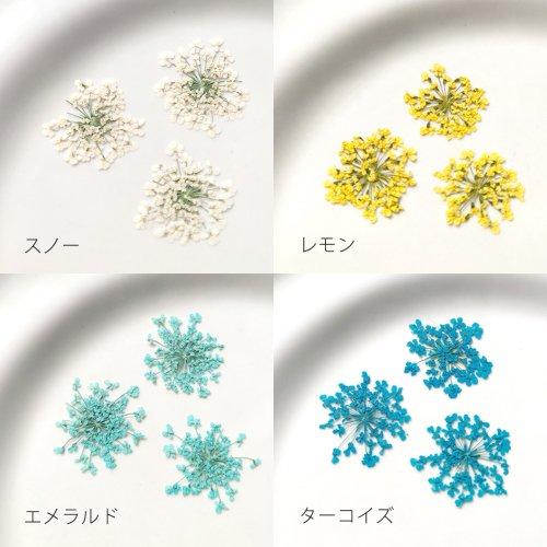ドライフラワー レースフラワー 12輪 レジン封入 ネイルパーツ 押し花