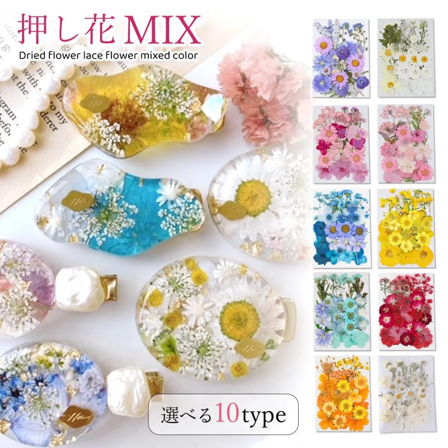 押し花 押し花MIX 約33枚 アソートセット ドライフラワー レジン 押し花 押し花MIX 約33枚 アソートセット ドライフラワー レジン