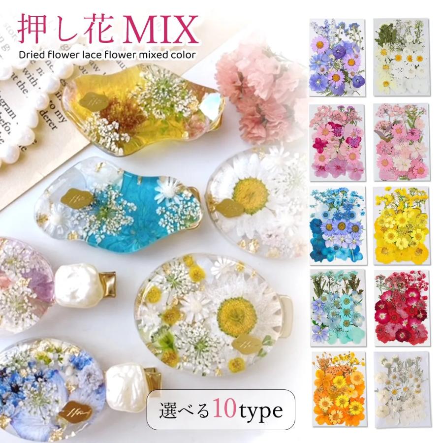 押し花 押し花MIX 約33枚 アソートセット ドライフラワー レジン封入