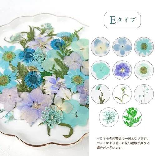 押し花 押し花MIX 約33枚 アソートセット ドライフラワー レジン 押し花 押し花MIX 約33枚 アソートセット ドライフラワー レジン