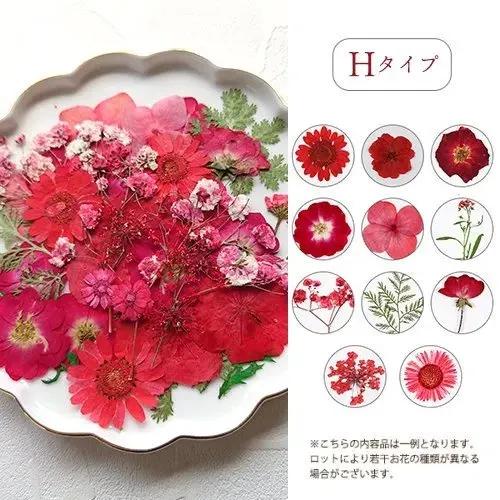 押し花 押し花MIX 約33枚 アソートセット ドライフラワー レジン 押し花 押し花MIX 約33枚 アソートセット ドライフラワー レジン