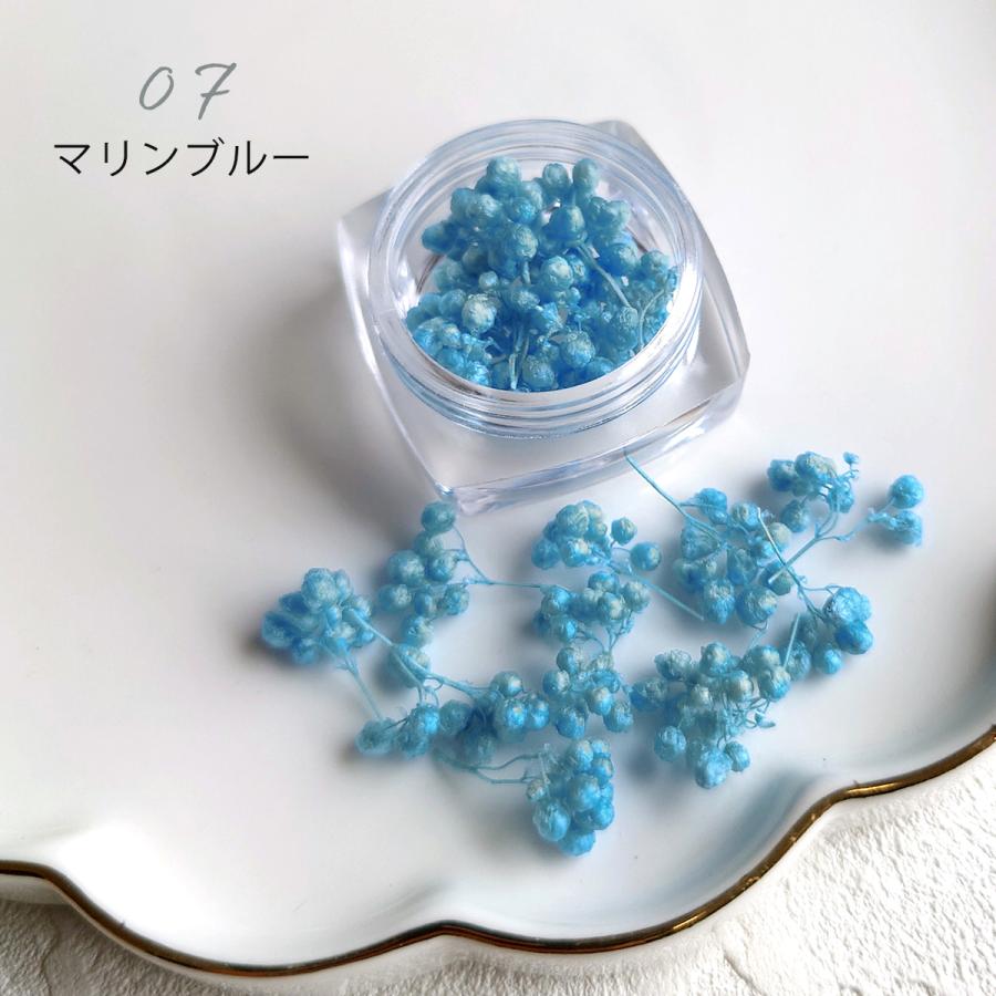 ドライフラワー ライスフラワーC 日本製 ハーバリウム ハーバリューム