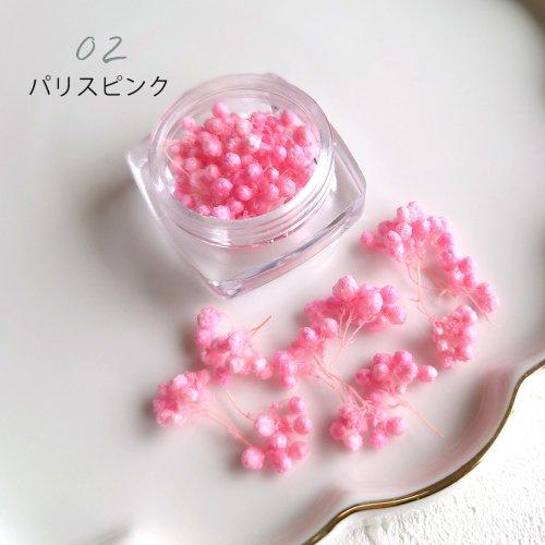 ドライフラワー ライスフラワーC 日本製 ハーバリウム ハーバリューム