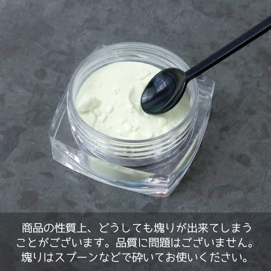 封入 魔法のやべぇ粉 カラー蓄光4色セット 超話題の微細パウダー