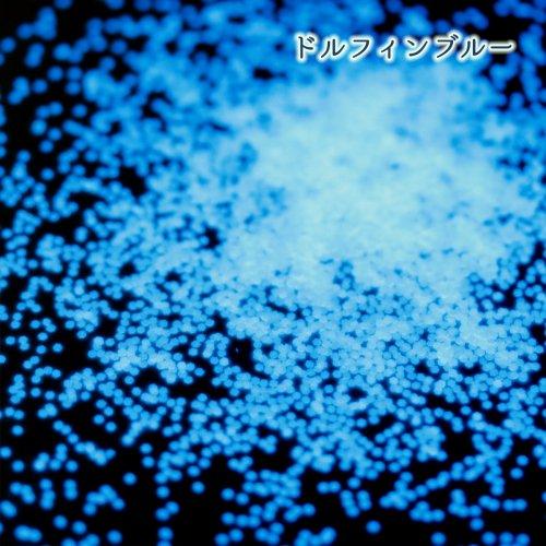 封入 蓄光ホログラム ブルー系 レジン封入 ネイルパーツ ネイル用品