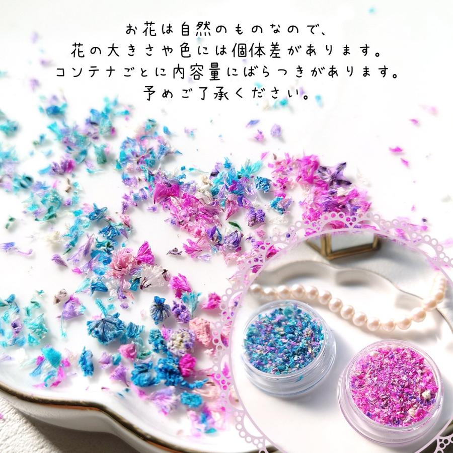 ドライフラワー 花びらのカケラMIX レジン封入 レジン用花材 ドライフラワー 花びらのカケラMIX レジン封入 レジン用花材