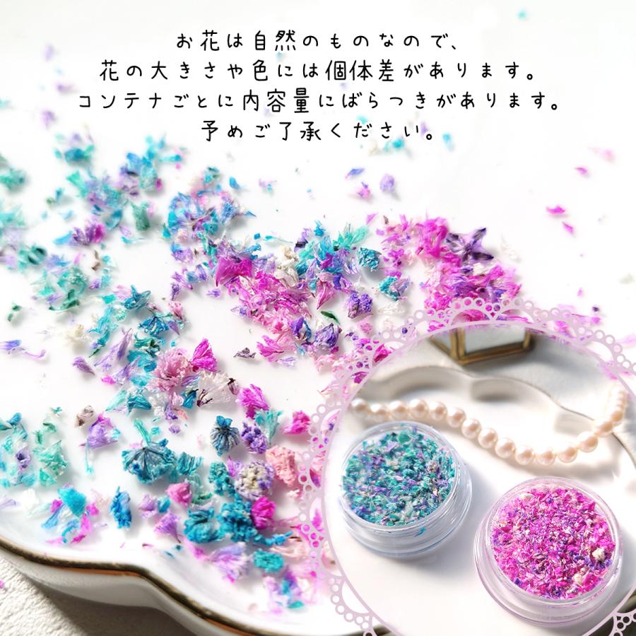ドライフラワー 花びらのカケラMIX レジン封入 レジン用花材 小花