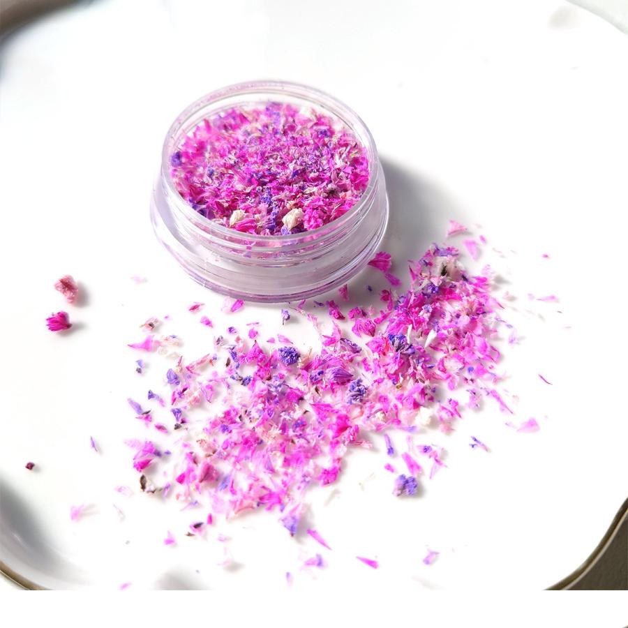 ドライフラワー 花びらのカケラMIX レジン封入 レジン用花材 小花