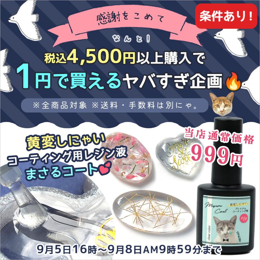 専用レジン液 Ciel10本 大人気コーティング剤つき✩.*˚ 専用レジン液 Ciel10本 大人気コーティング剤つき✩.*˚ 【公式通販】
