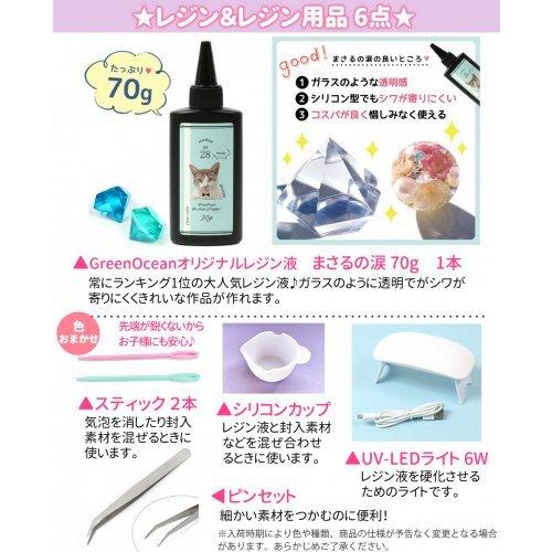 隠れ工房GreenOcean □レジンセット ゆうパケ送料無料 レジン