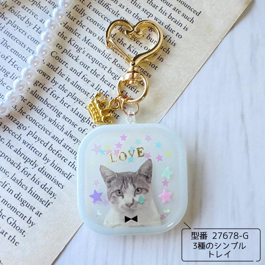 封入 オーロラカラー 偏光ホログラム 12種セット ケース入り オーロラ