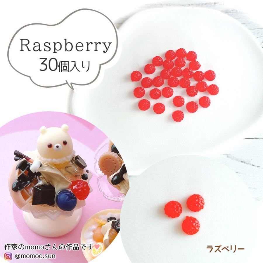 デコパーツ デコ用フルーツパーツ 単品 ミニチュアスイーツ 果物 果実
