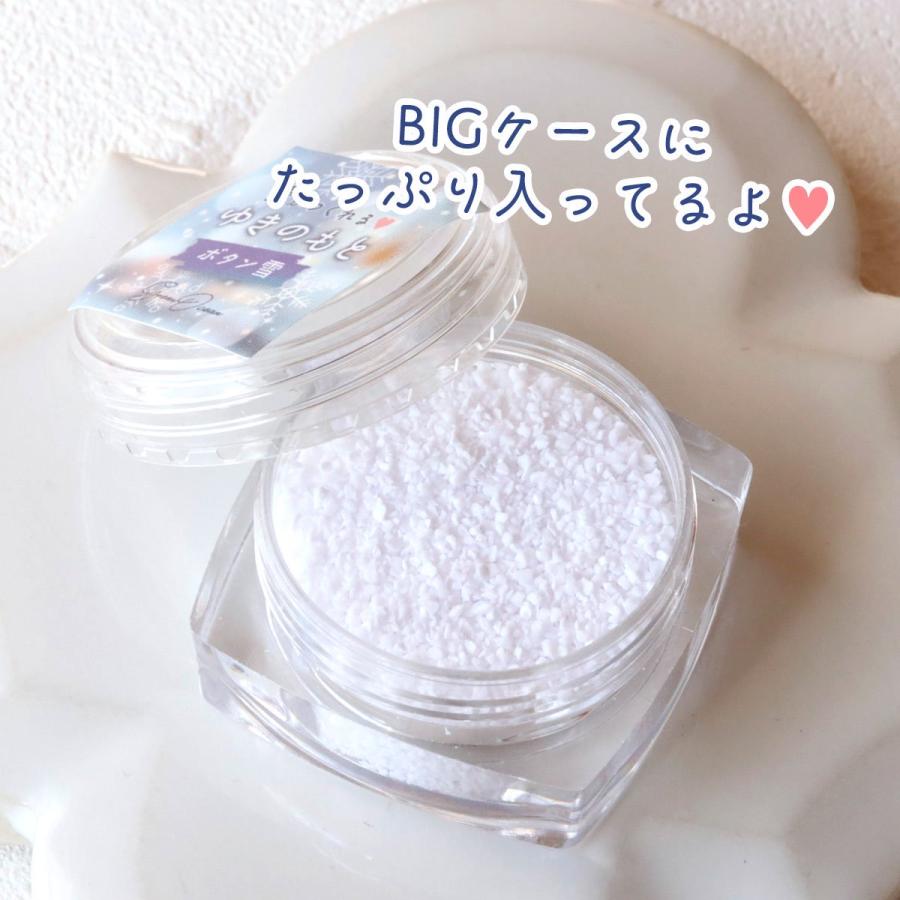 隠れ工房GreenOcean 封入 降り沈む♪雪の素 レジン封入素材 封入パーツ